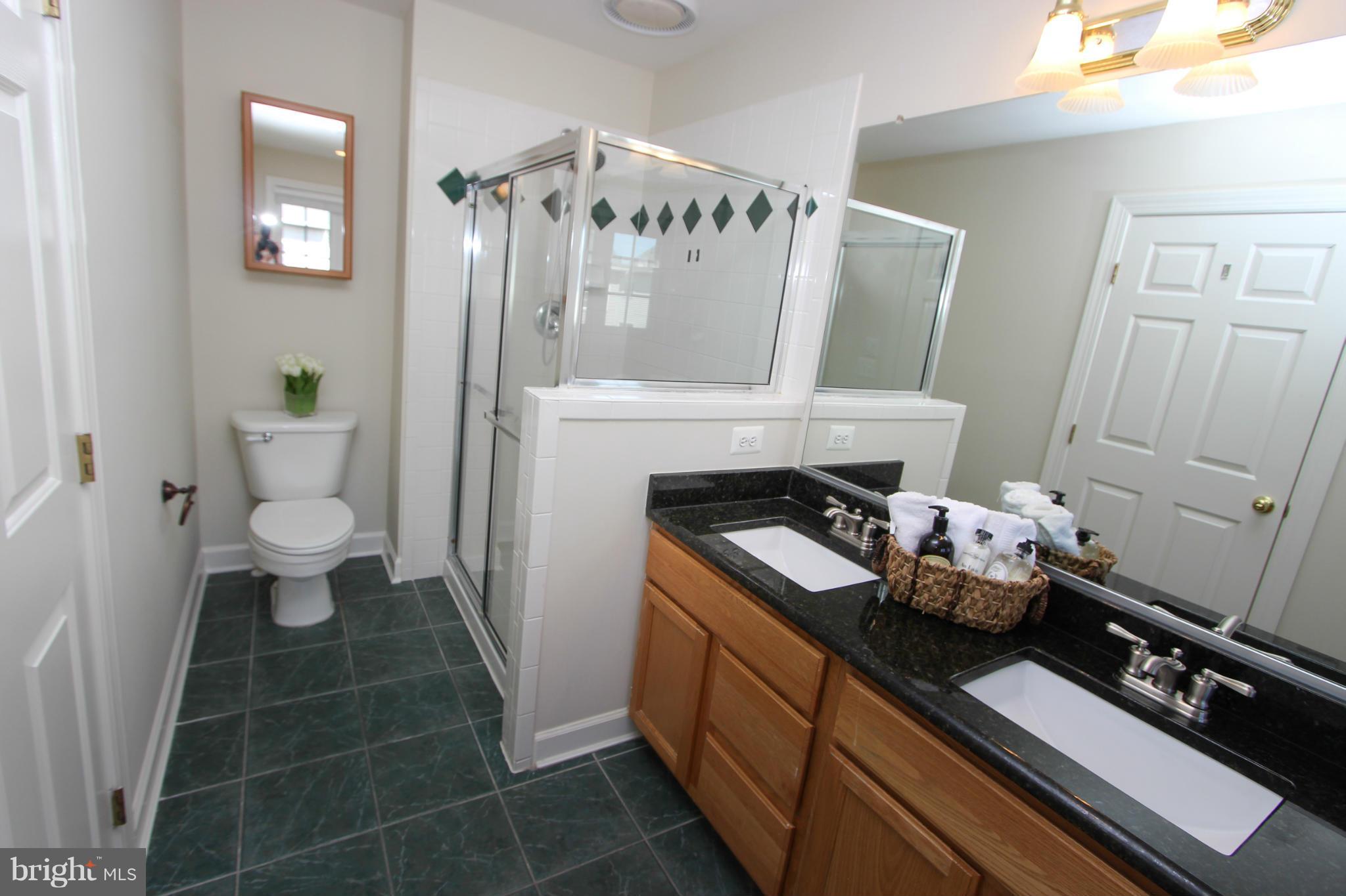 25533 Fretton Square Chantilly, VA 20152 - Photo 20 of 30 Bath (Master)