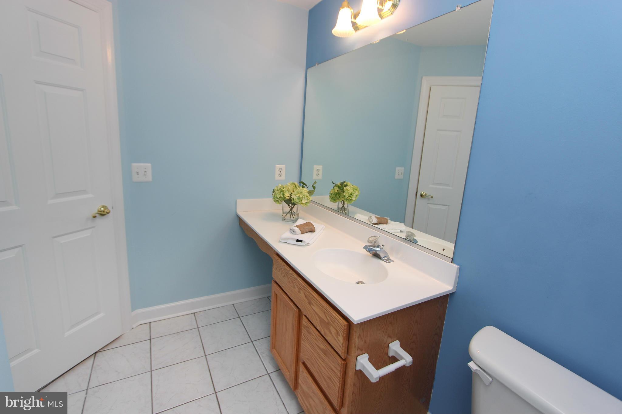 25533 Fretton Square Chantilly, VA 20152 - Photo 26 of 30 Bath