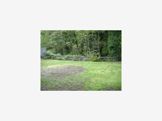 120 Riverside Avenue Ben Lomond, CA 95005 - Photo 6 of 7 Gallery Image 6