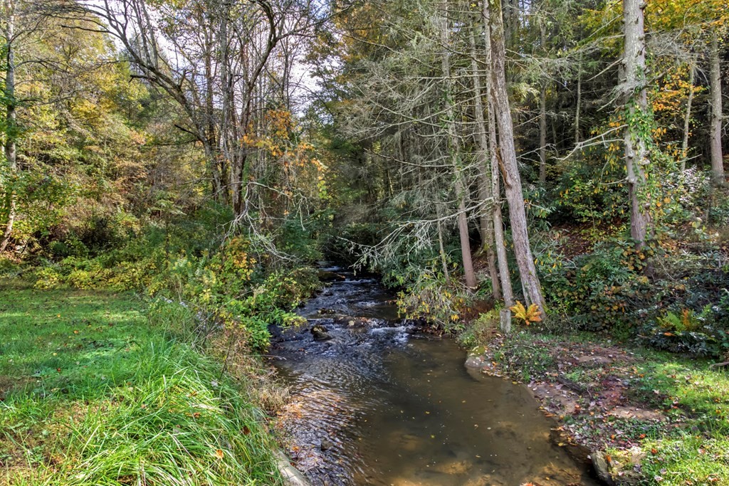 450 Croft Chapel Road Turtletown, TN 37391 - Photo 28 of 34 Gallery Image 28
