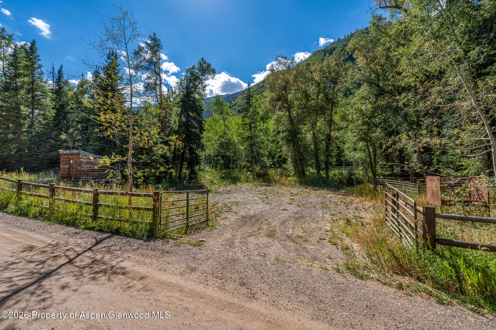 285 Conundrum Creek Road Aspen, CO 81611 - Photo 31 of 35 a view of outdoor space and yard