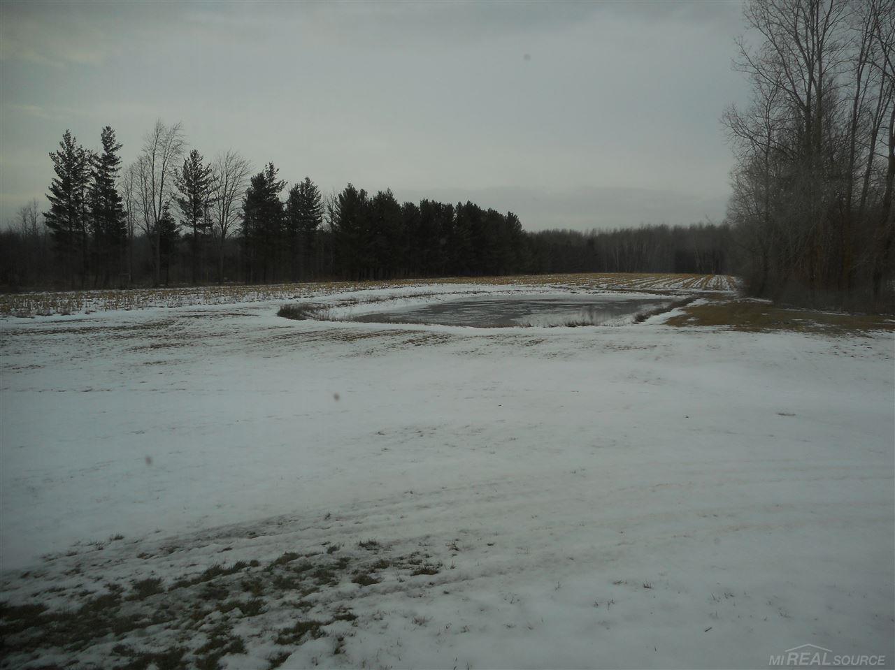 4271 Applegate Road Applegate, MI 48401 - Photo 14 of 20