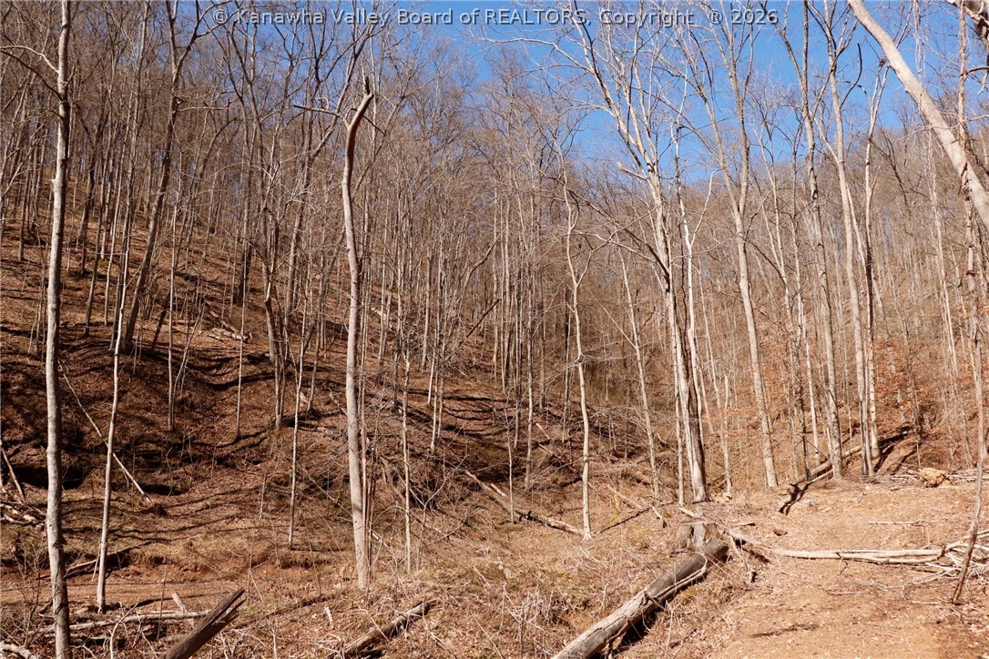 0 Straight Creek Road Walton, WV 25286 - Photo 35 of 47 Gallery Image 35