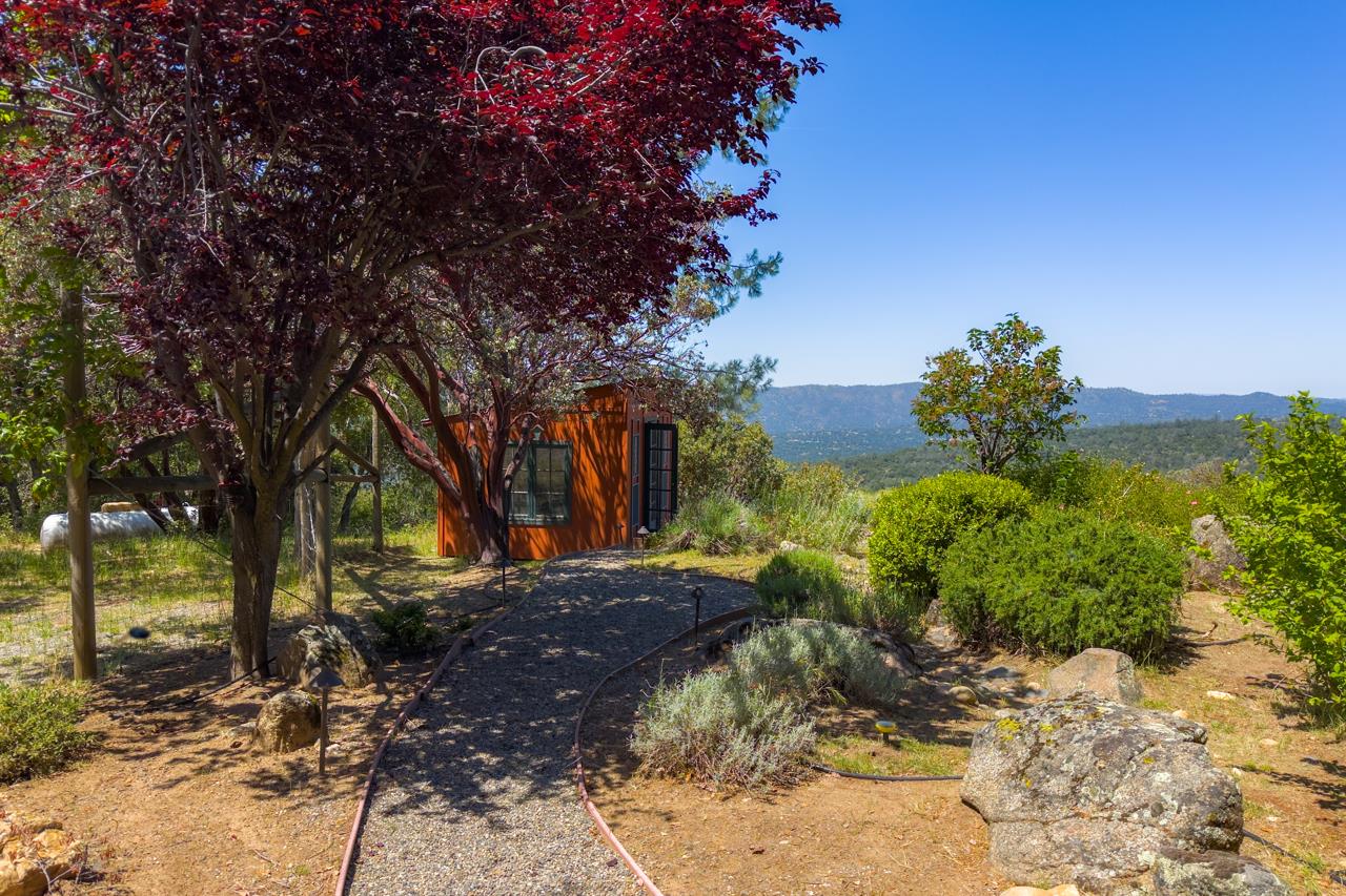 43016 Sunshine Mountain Road Oakhurst, CA 93644 - Photo 45 of 85