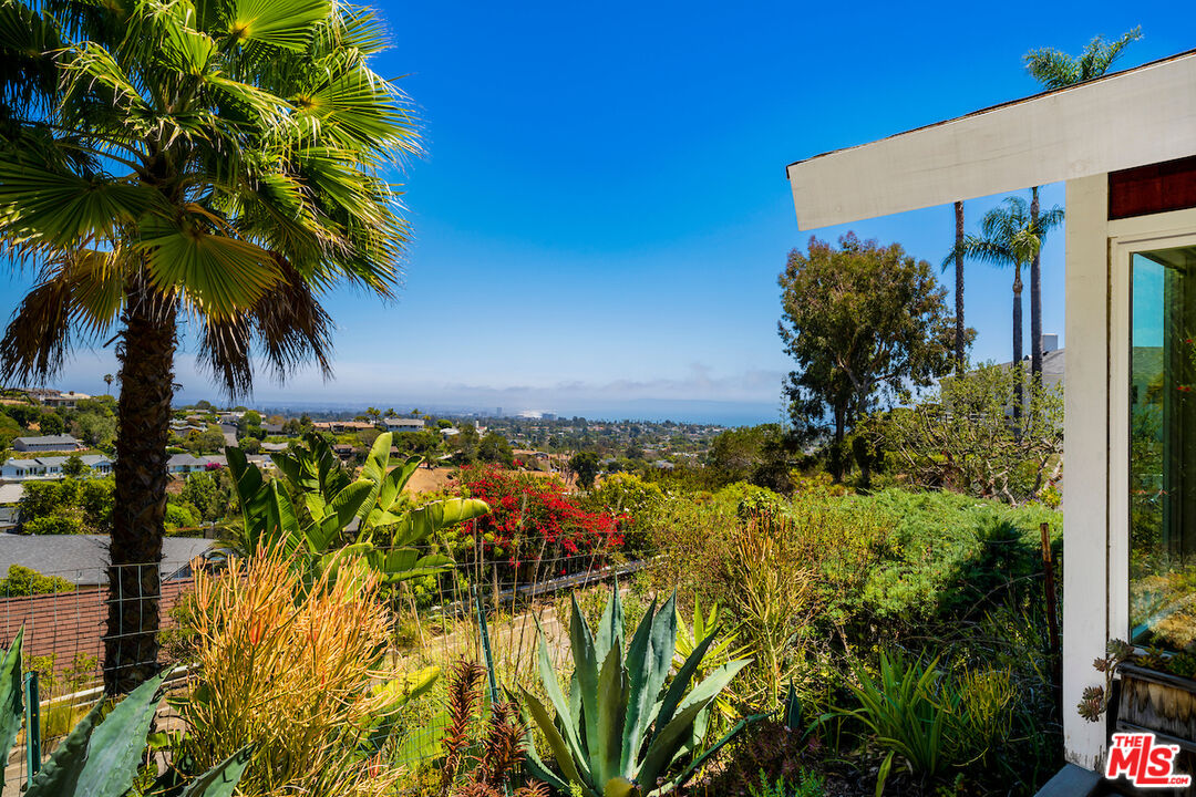 1336 Las Canoas Road Pacific Palisades, CA 90272 - Photo 31 of 37 a view of a palm plant from a yard