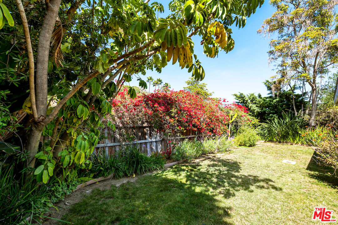 1336 Las Canoas Road Pacific Palisades, CA 90272 - Photo 32 of 37 a view of a yard with plants and large trees