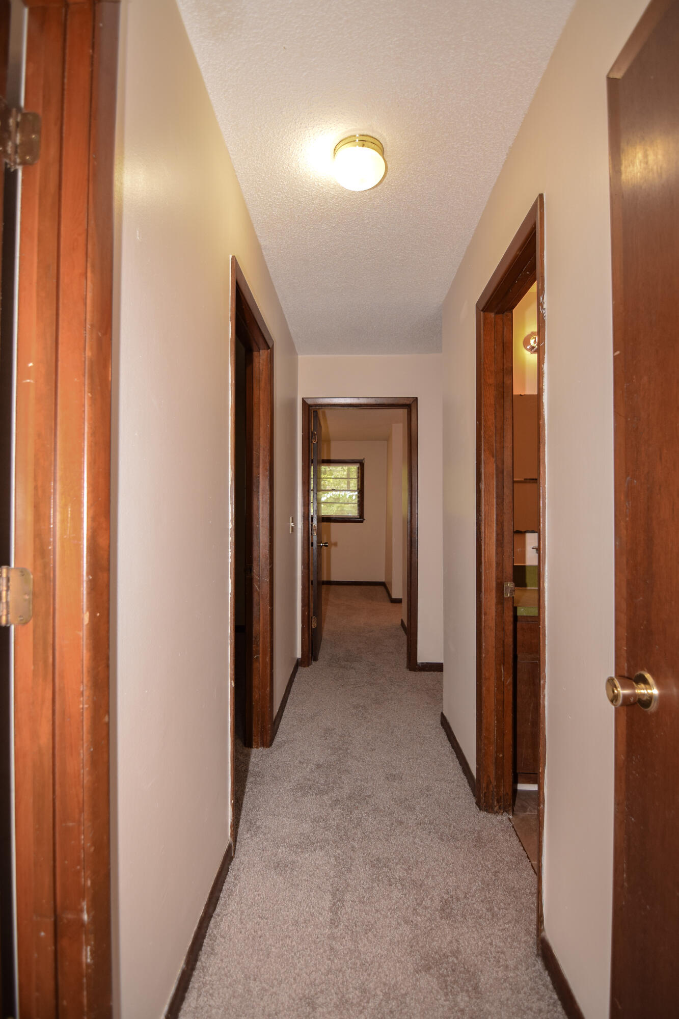 8214 Greenridge Road North Charleston, SC 29406 - Photo 14 of 24 8214 Greenridge-21
