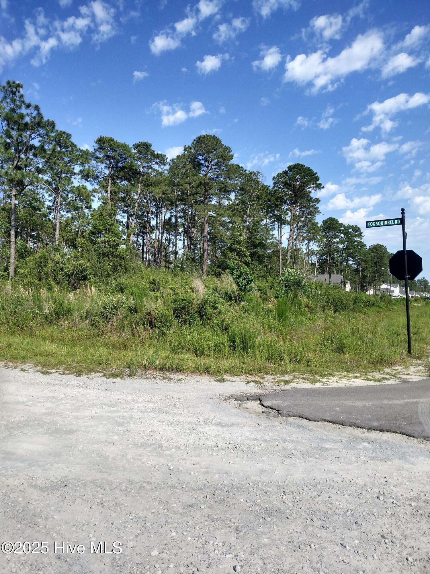 0 Fox Squirrel Road Southport, NC 28461 - Photo 1 of 21 LOT ON FOX SQUIRREL AND WESTWAY RD