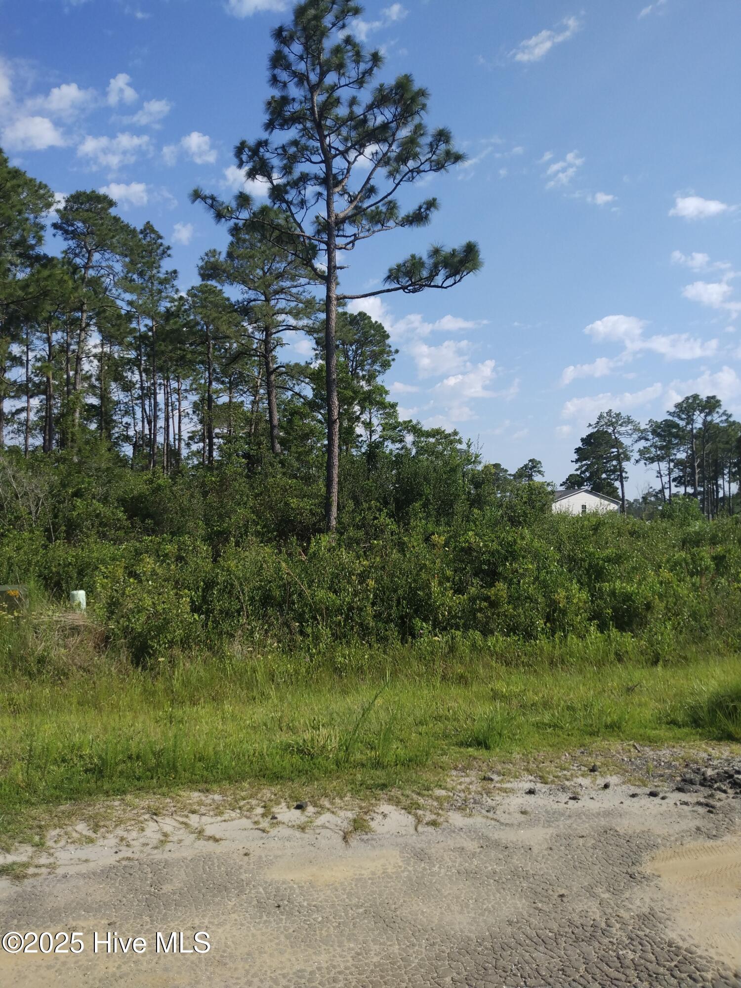 0 Fox Squirrel Road Southport, NC 28461 - Photo 2 of 21 LOT ON FOX SQUIRREL AND WESTWAY RD
