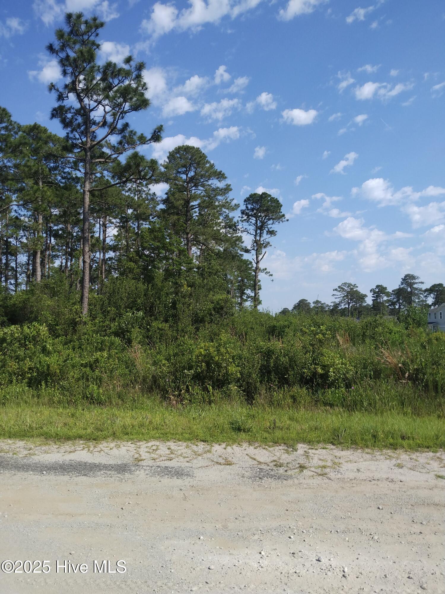 0 Fox Squirrel Road Southport, NC 28461 - Photo 3 of 21 LOT ON FOX SQUIRREL AND WESTWAY RD