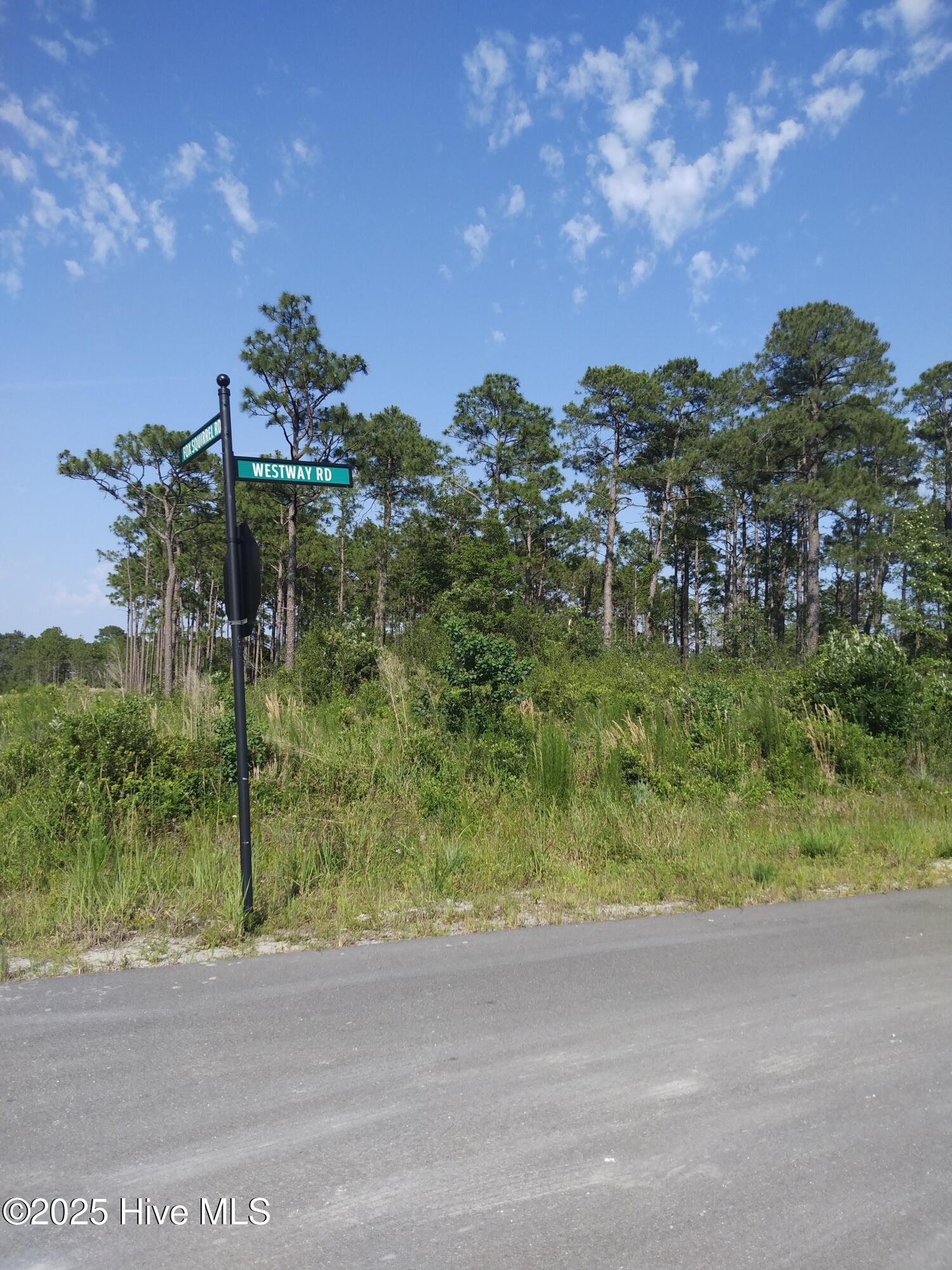 0 Fox Squirrel Road Southport, NC 28461 - Photo 4 of 21 LOT ON CORNER OF FOX SQUIRREL AND WESTWAY RD ON PAVED RD