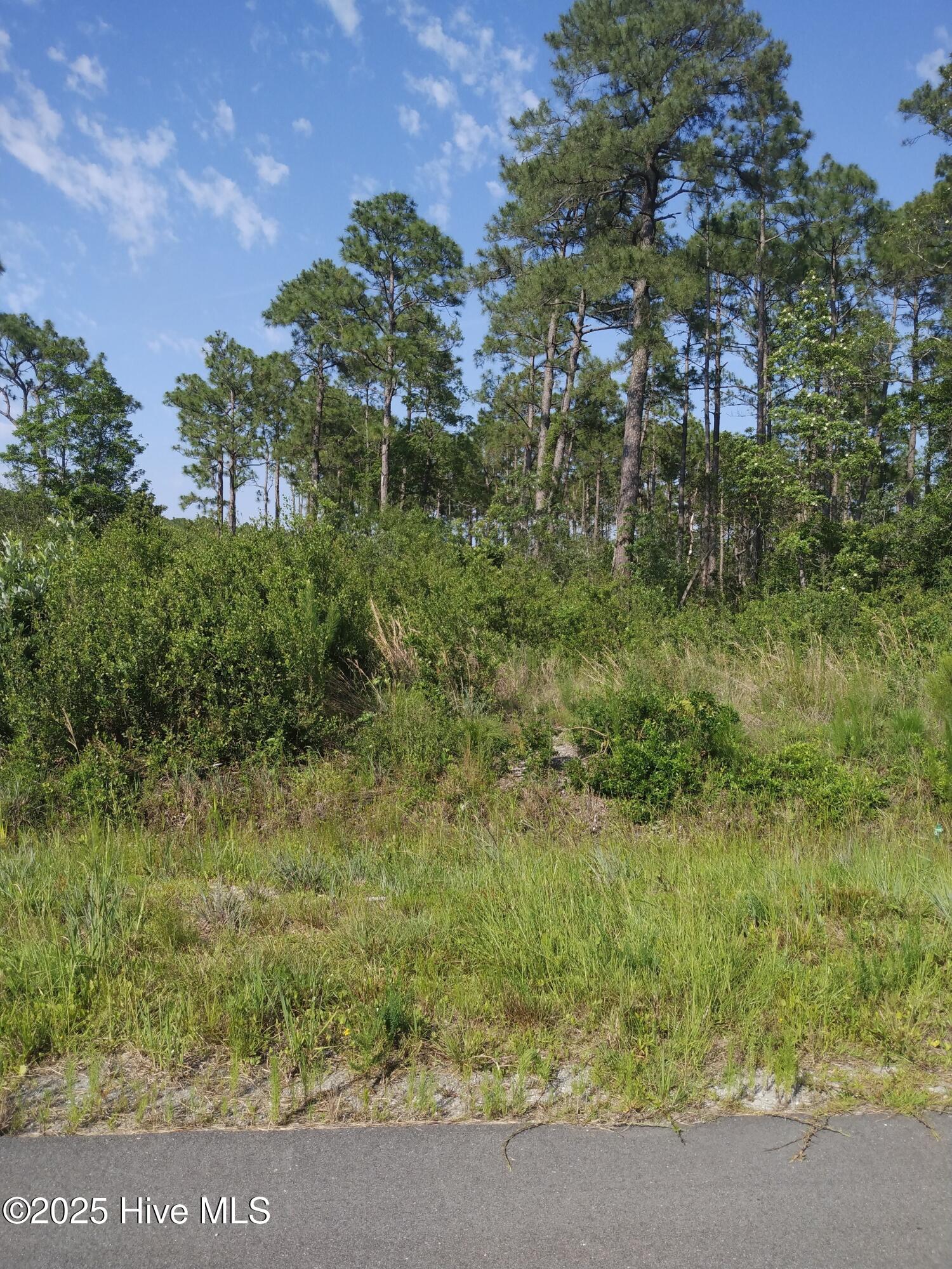 0 Fox Squirrel Road Southport, NC 28461 - Photo 5 of 21 LOT ON FOX SQUIRREL AND WESTWAY RD