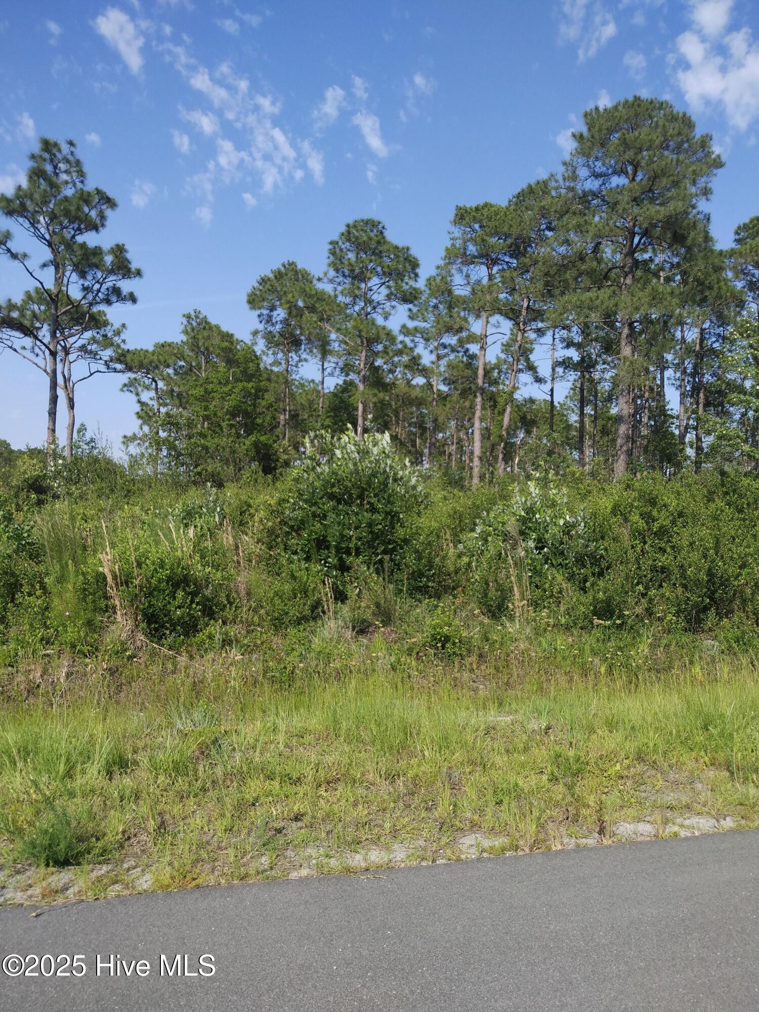 0 Fox Squirrel Road Southport, NC 28461 - Photo 6 of 21 LOT ON CORNER OF FOX SQUIRREL AND WESTWAY RD