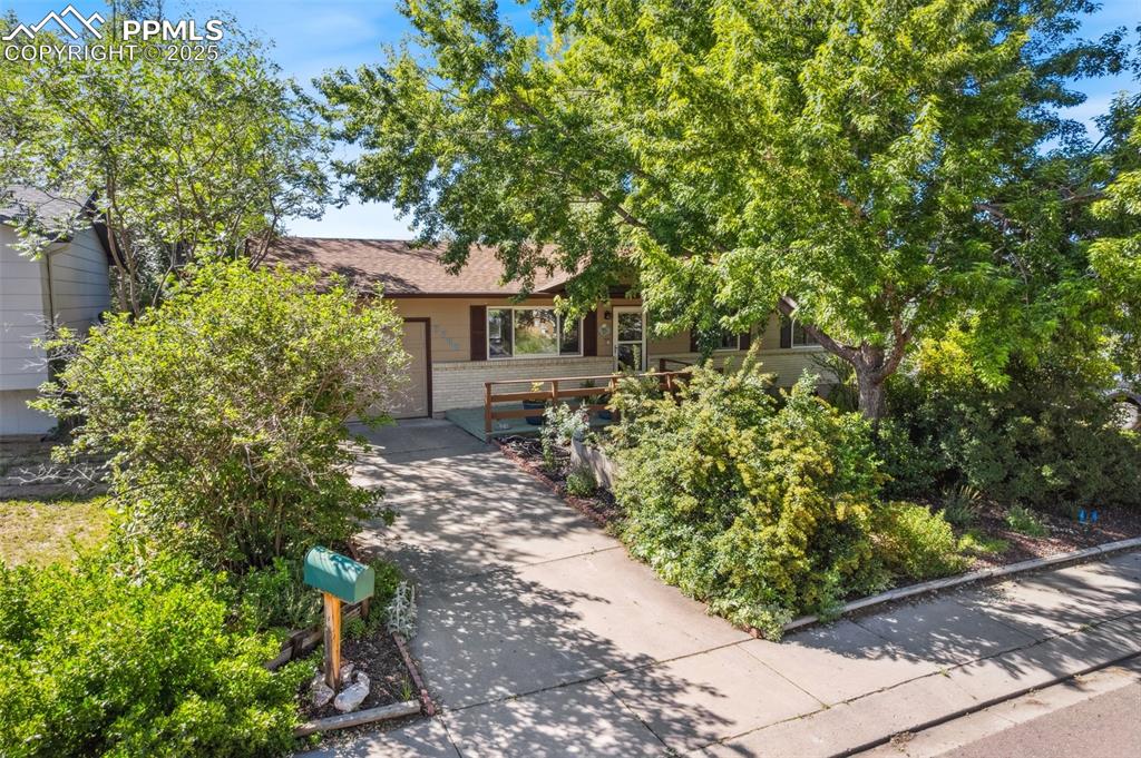 3709 Anemone Circle Colorado Springs, CO 80918 - Photo 1 of 32 a front view of a house with a garden