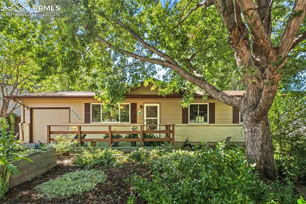3709 Anemone Circle Colorado Springs, CO 80918 - Photo 10 of 32 a house view with outdoor space