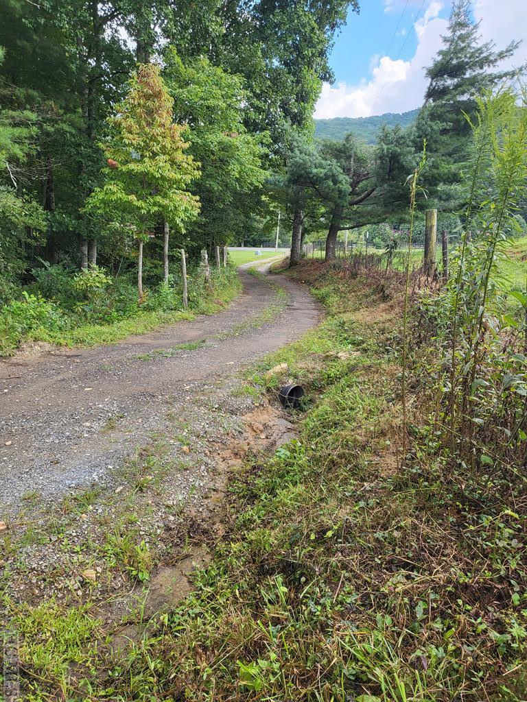 0 Tanasee Gap Road Balsam Grove, NC 28708 - Photo 2 of 8 Gallery Image 2