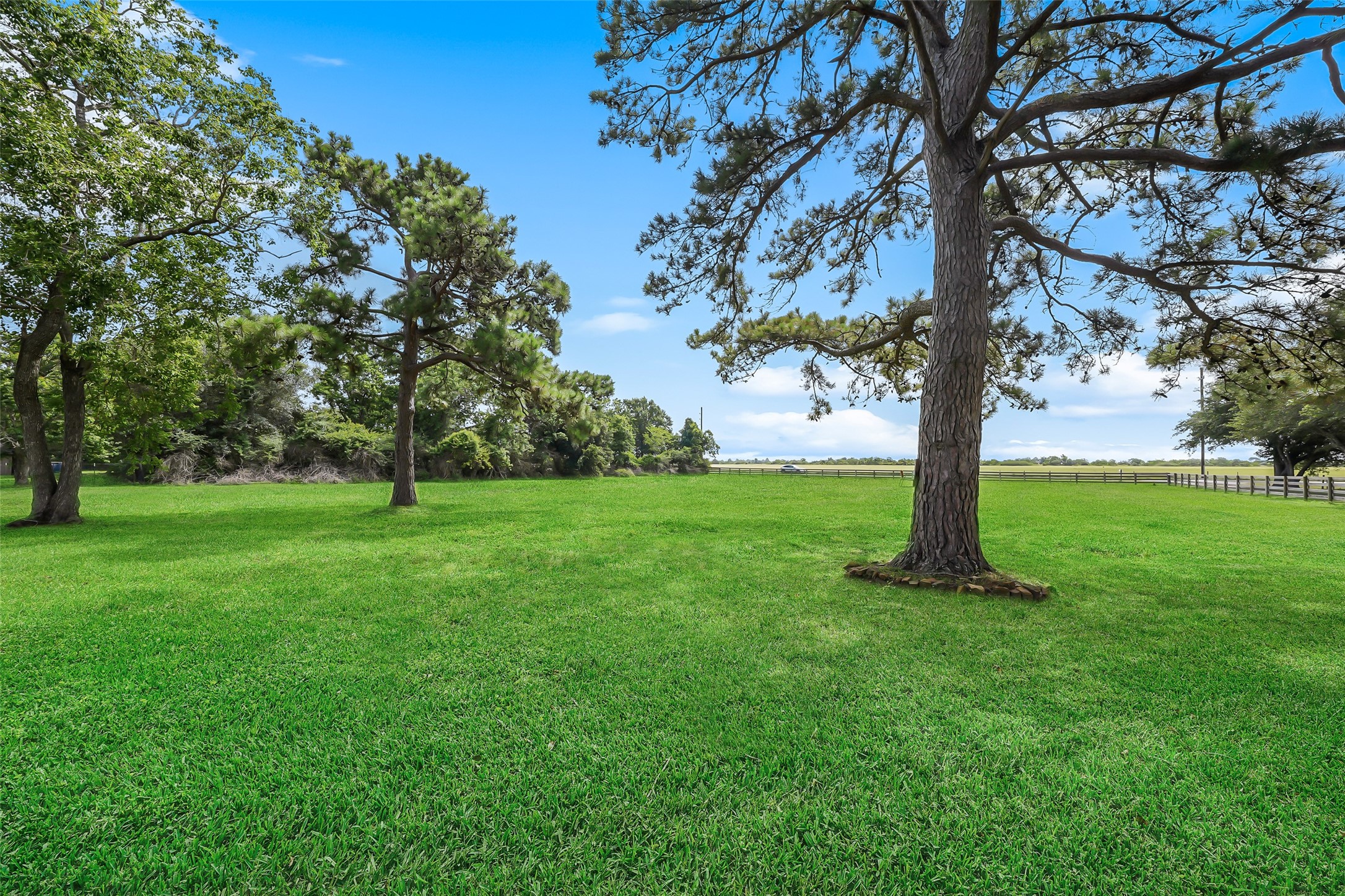 19635 Kermier Road Waller, TX 77484 - Photo 4 of 27 Expansive, well-maintained pasture with scattered mature trees provides a beautiful setting for livestock or recreation