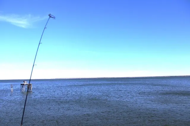 a view of a room with a ceiling fan