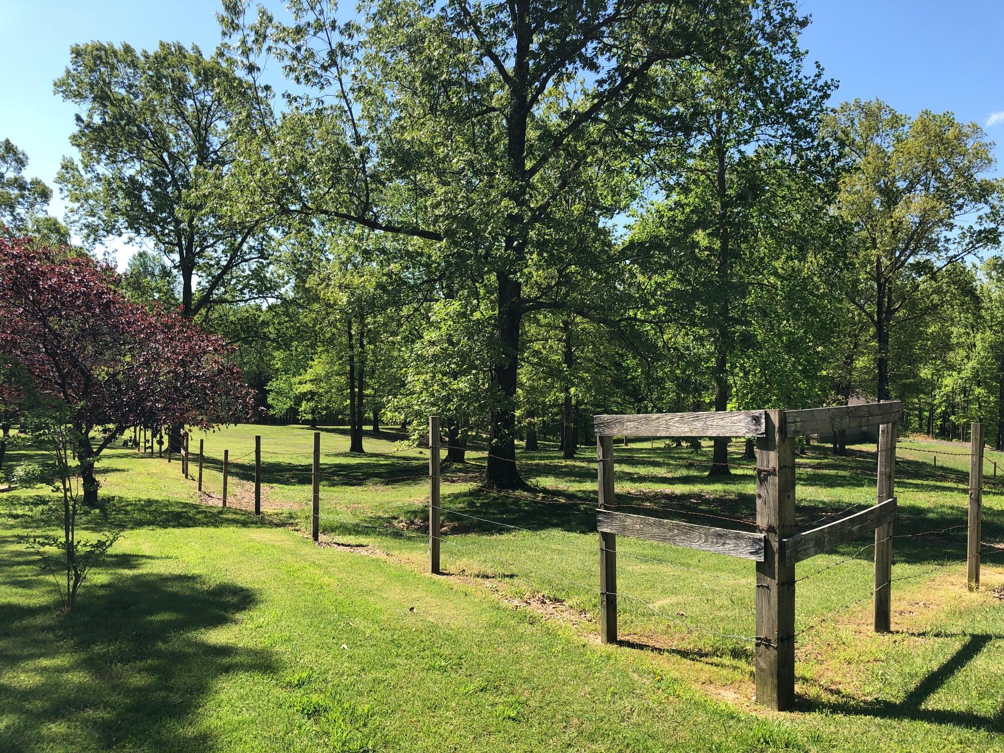 290 Wooten Road Big Rock, TN 37023 - Photo 4 of 21 Side pasture has fencing.
