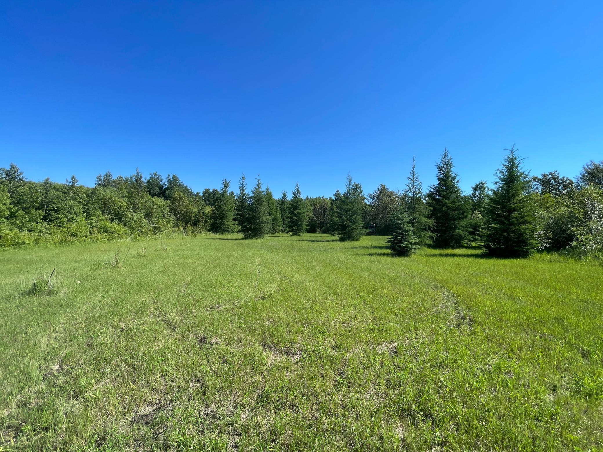 Tbd 440th Avenue Roseau, MN 56751 - Photo 63 of 80