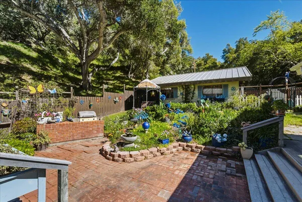 a view of a garden with plants
