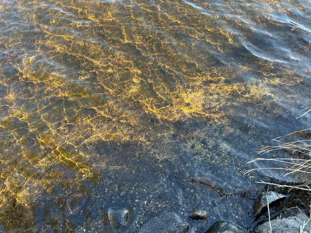 $350,000 | Tbd Loon Call Lane, Bigfork, MN 56628