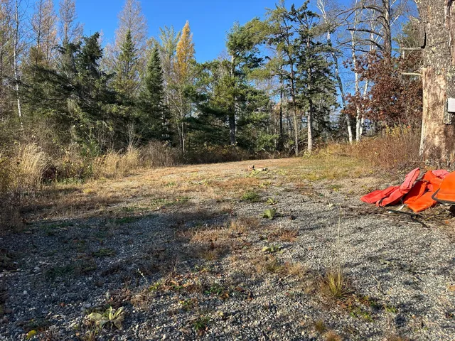$350,000 | Tbd Loon Call Lane, Bigfork, MN 56628