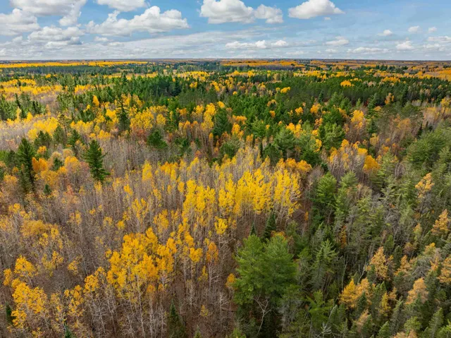 $350,000 | Tbd Loon Call Lane, Bigfork, MN 56628