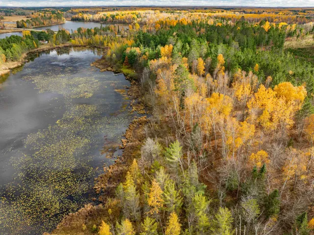 $350,000 | Tbd Loon Call Lane, Bigfork, MN 56628