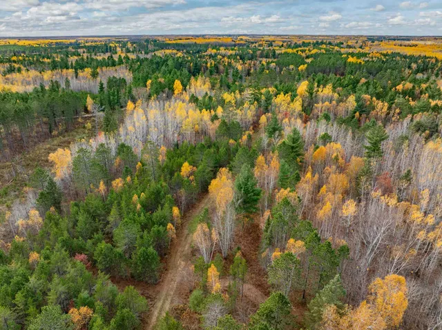 $350,000 | Tbd Loon Call Lane, Bigfork, MN 56628