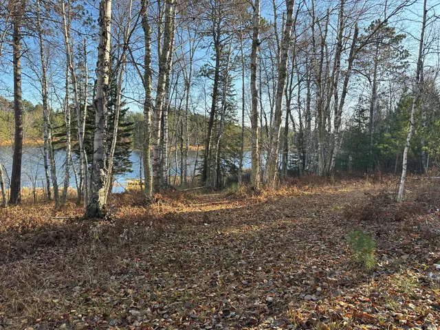 $350,000 | Tbd Loon Call Lane, Bigfork, MN 56628