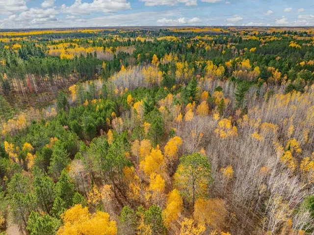 $350,000 | Tbd Loon Call Lane, Bigfork, MN 56628