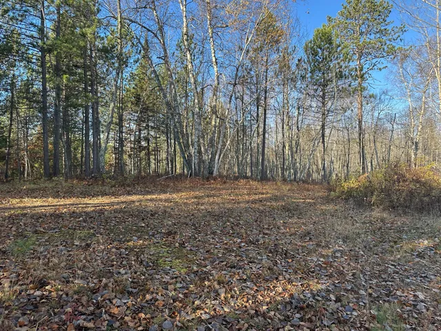 $350,000 | Tbd Loon Call Lane, Bigfork, MN 56628