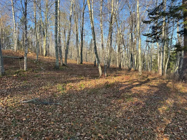 $350,000 | Tbd Loon Call Lane, Bigfork, MN 56628