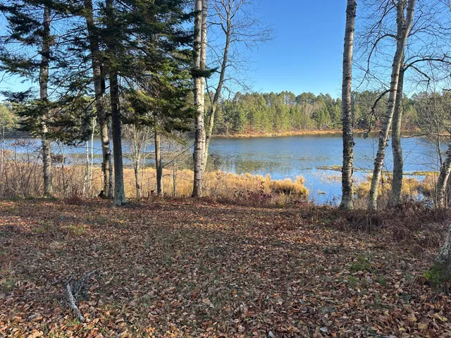 $350,000 | Tbd Loon Call Lane, Bigfork, MN 56628