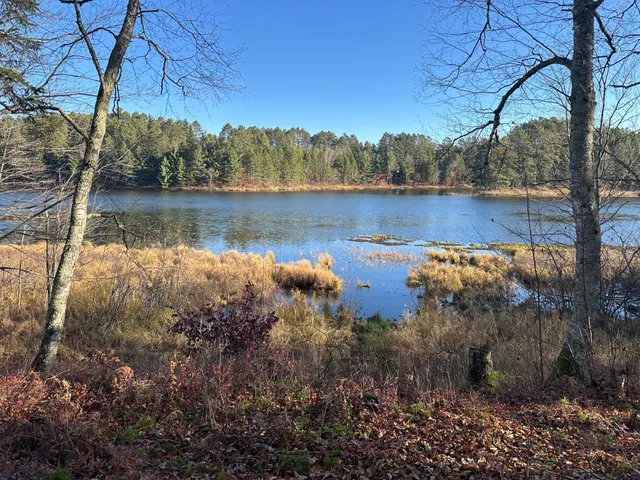 $350,000 | Tbd Loon Call Lane, Bigfork, MN 56628