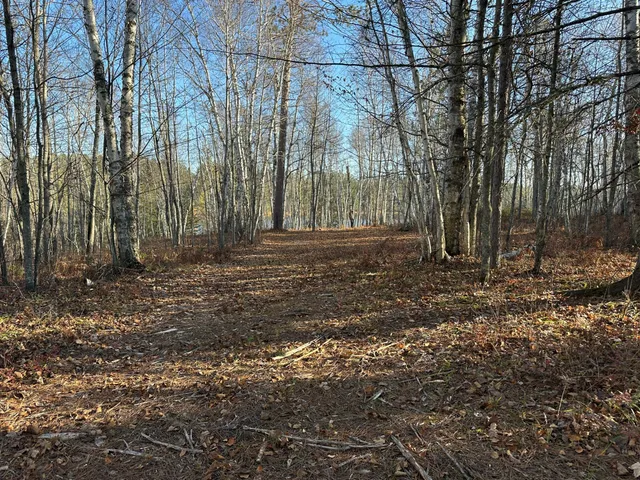 $350,000 | Tbd Loon Call Lane, Bigfork, MN 56628