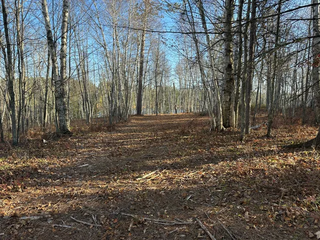 $350,000 | Tbd Loon Call Lane, Bigfork, MN 56628