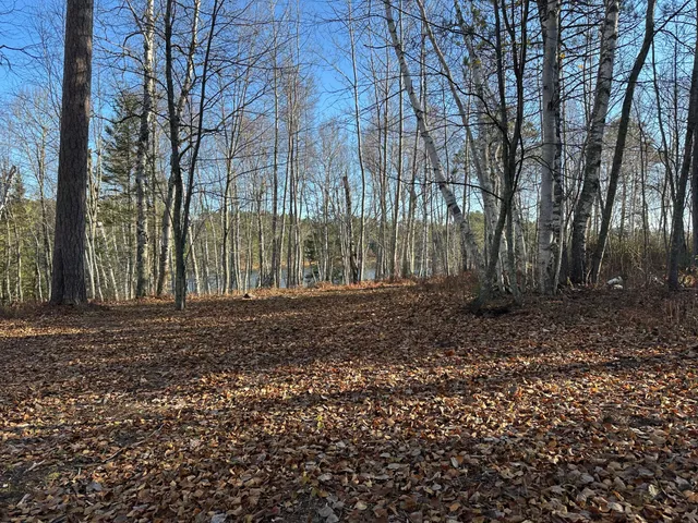 $350,000 | Tbd Loon Call Lane, Bigfork, MN 56628