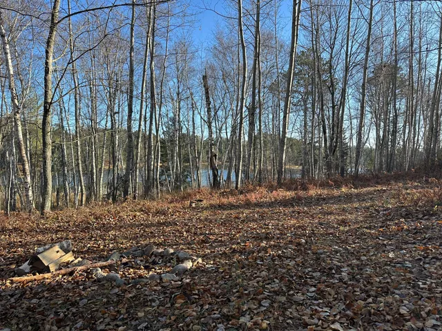 $350,000 | Tbd Loon Call Lane, Bigfork, MN 56628