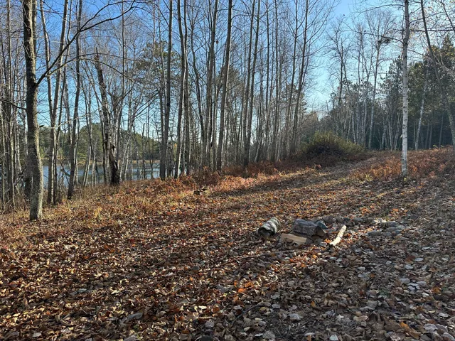$350,000 | Tbd Loon Call Lane, Bigfork, MN 56628