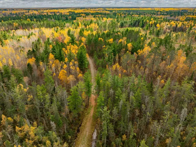 $350,000 | Tbd Loon Call Lane, Bigfork, MN 56628
