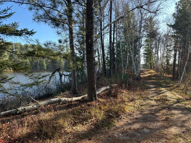 $350,000 | Tbd Loon Call Lane, Bigfork, MN 56628