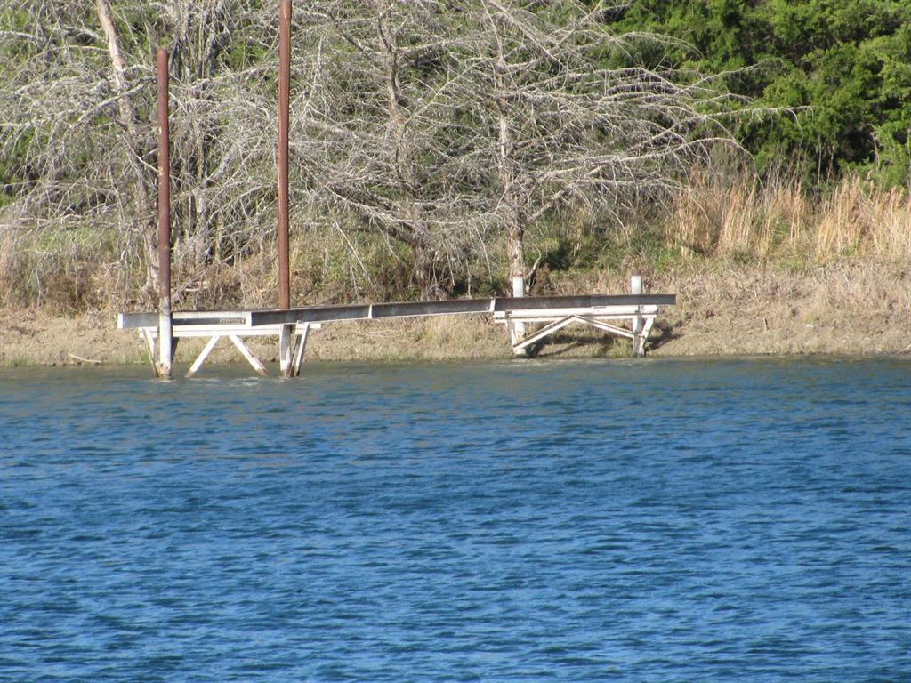 a view of a yard with an trees
