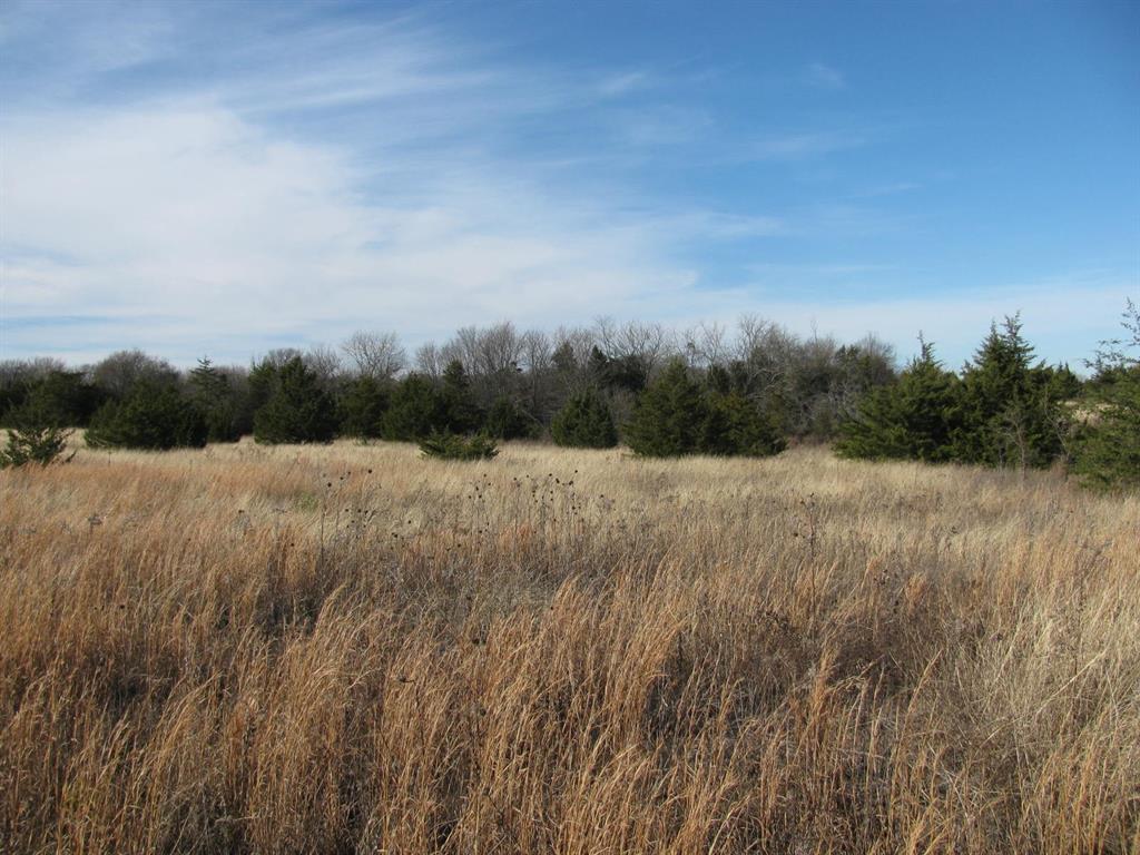 3330 Rd Dodd City Tx 75438 Road Ladonia, TX 75449 - Photo 12 of 28