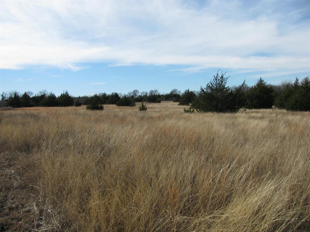 3330 Rd Dodd City Tx 75438 Road Ladonia, TX 75449 - Photo 13 of 28 towards north