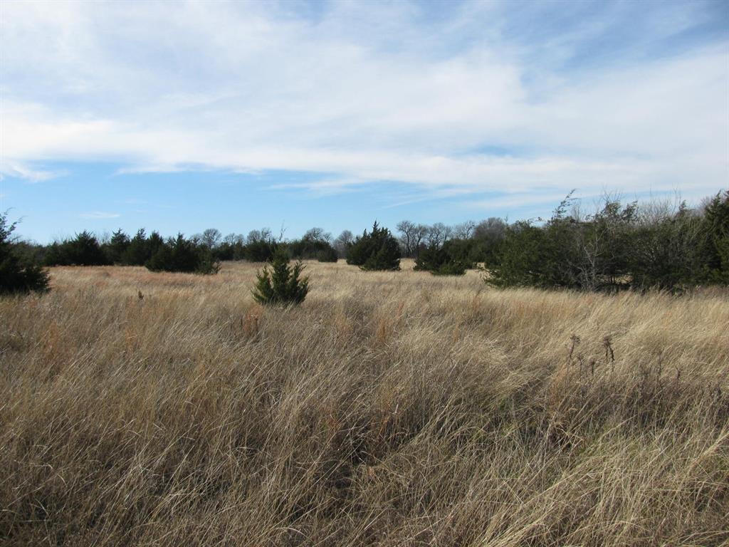 3330 Rd Dodd City Tx 75438 Road Ladonia, TX 75449 - Photo 14 of 28 a view of lake