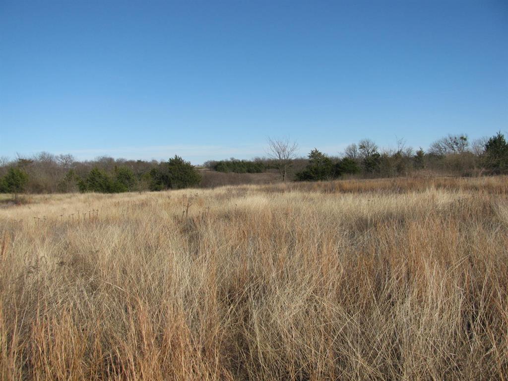 3330 Rd Dodd City Tx 75438 Road Ladonia, TX 75449 - Photo 15 of 28 a view of lake