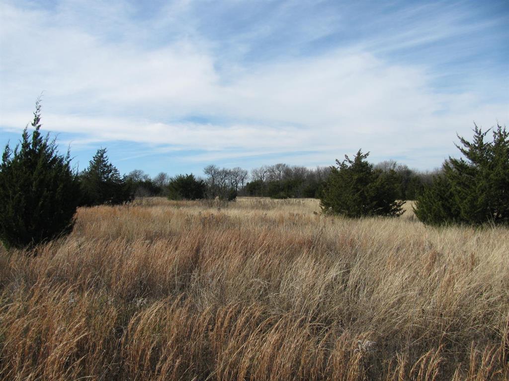 3330 Rd Dodd City Tx 75438 Road Ladonia, TX 75449 - Photo 16 of 28 a view of lake with green space