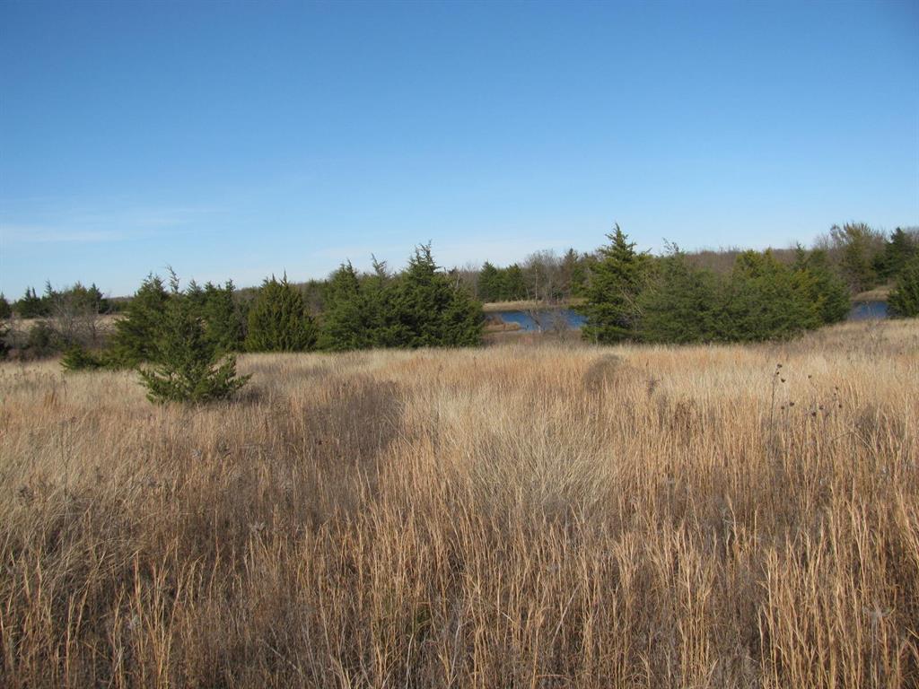 3330 Rd Dodd City Tx 75438 Road Ladonia, TX 75449 - Photo 17 of 28 a view of a lake with houses in the back